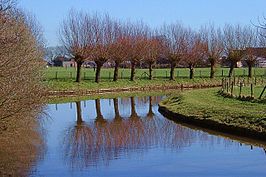 De Kromme Rijn bij Cothen