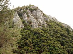 The Lake Shasta Caverns are inside this mountain