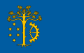 Flag of Stalowowolski County