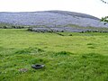 Pasture alongside Corker Pass road, Oughtmama Townland