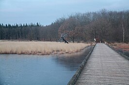 Tjasker Grolloo (januari 2009)