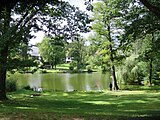 Der „Waldsee“, Haus am Waldsee