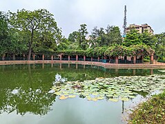 Arbour panorama