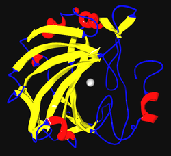 Α-Carboanhydrasen