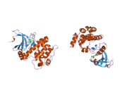 2c6e: AURORA A KINASE ACTIVATED MUTANT (T287D) IN COMPLEX WITH A 5-AMINOPYRIMIDINYL QUINAZOLINE INHIBITOR