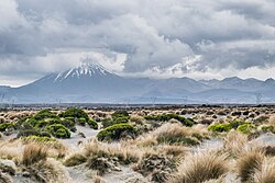 Sandy shrubland on an overcast day, with a snow-capped volcano and other hills in the distance