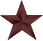 Service Star (bronze)