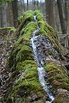 Die 60 m lange Steinerne Rinne von Rohrbach ist ein Naturdenkmal und Geotop