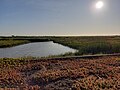 Uitkerkse Polder