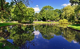 vijver Wilhelminapark