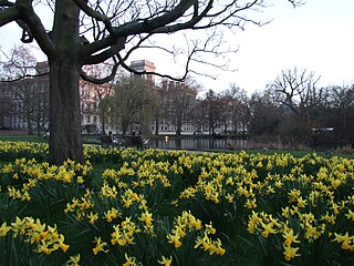 The park has colorful flowers