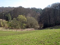 Westlicher Siefenkopf des Alemigsiefens