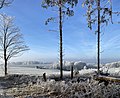 Aussicht bei Linde (Richtung Köln)