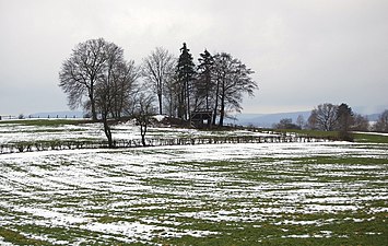 Restant van middeleeuws mottekasteel Kerlsberg