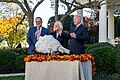 President Joe Biden pardoning a turkey called "Peanut Butter" on November 19, 2021