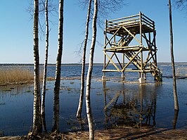 Het meer Ermistu järv