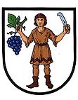 Wappen von Hluk