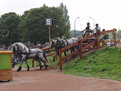 Marathonfahren, WEG 2014, Normandie