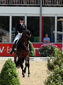 Eine Dressurreiterin reitet ein dunkelbraunes Pferd. Im Vordergrund sind Grünpflanzen zu sehen, in Hintergrund ist ein Teil einer Tribüne zu erkennen.