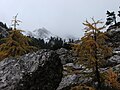 Das Nabige Loch, ein Hochkar unter den Hängen des Seekofels