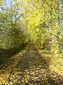 Odersberg im Herbst 1