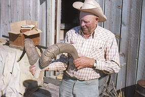 Sage of Fort Rock at his ranch in 1966. Reub said he called this photo "One horny old goat contemplating another"