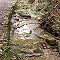 Natürliches Bachbett mit aus der Horizontalen geneigten Felsplatten; Blick stromaufwärts