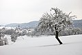 März: Blick auf Egenhausen im Schnee.