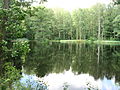 Großer Harthteich; Blick nach Norden