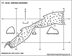 Plan jaskini