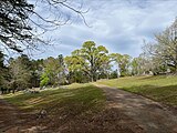 Lauderdale Springs Cemetery, founded in 1835