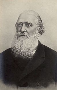 A. N. Pleshcheyev, 1880s