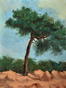 The Pine, 1873