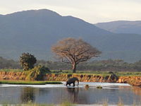 Mana-Pools-Nationalpark, Safarigebiete Sapi und Chewore