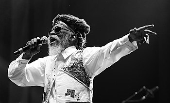 BunnyWailer-Istandpredominate.jpg