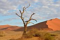 Dünen nahe Sossusvlei in Namibia (2017)