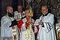 Processione presieduta da Francesco Coccopalmerio nel Parco di Monza alla presenza delle reliquie delle lacrime cristallizzate della Madonna di Siracusa, il 25 maggio 2019.