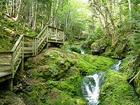 Fundy National Park of Canada