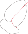 Intergranular crack