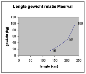 Relatie tussen lengte en gewicht bij de Europese meerval