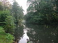 Stadtpark mit Insel