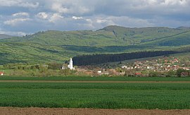 View of Purcăreni