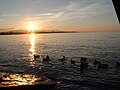 Sonnenuntergang am Bodensee