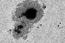 Sonnenfleck vom 13. Dez. 2006, auf­genommen bei ≈ 400 nm, Ø ≈ 20.000 km