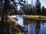 De Firehole net stroomafwaarts van de Biscuit Basin Meadows