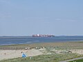 Beach near the Westerschelde