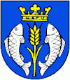 Wappen von Malé Chyndice