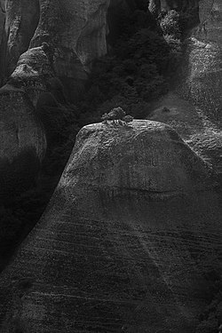 Tree at Meteora. Photograph: Geokokkos