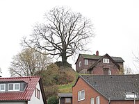 Aussichtsfelsen mit Kastanie