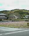 Hiyama (桧山)